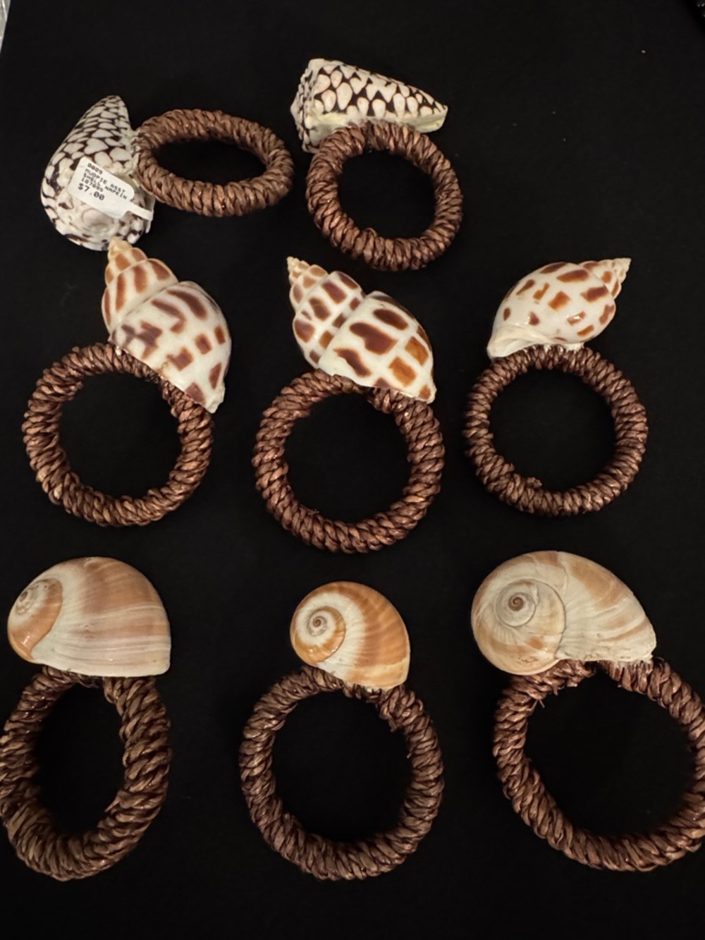 Set of 8 Coastal Shell Napkin Rings - Brown and Cream
